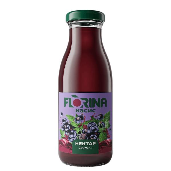 Натурален Сок Florina 250мл. Касис